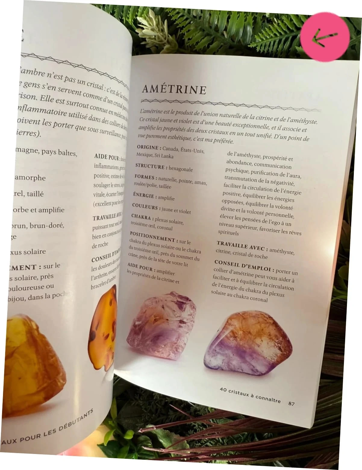 Livre les cristaux pour débutant – photo 3